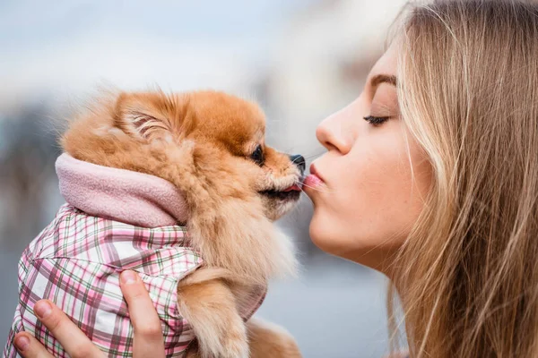 Cão Beija Cheira Rapariga Retrato Menina Cachorro Fundo Cidade Cão — Fotografia de Stock