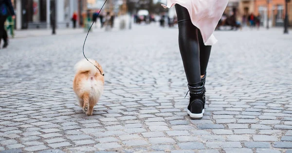 Feet of a man and a dog at the feet of a girl. Walking with dog. The dog is man\'s best friend.