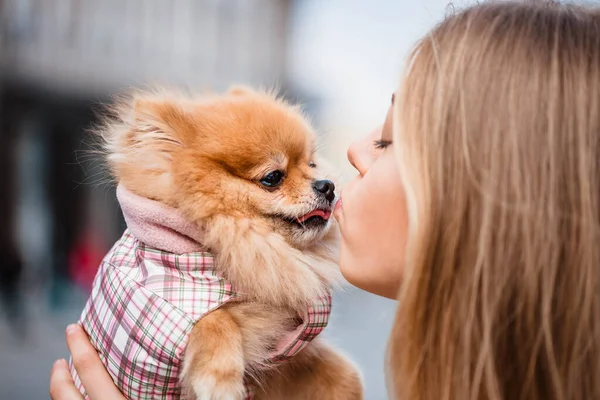 The dog kisses and sniffs the girl. Portrait of girl and dog on city background. The dog is man\'s best friend.