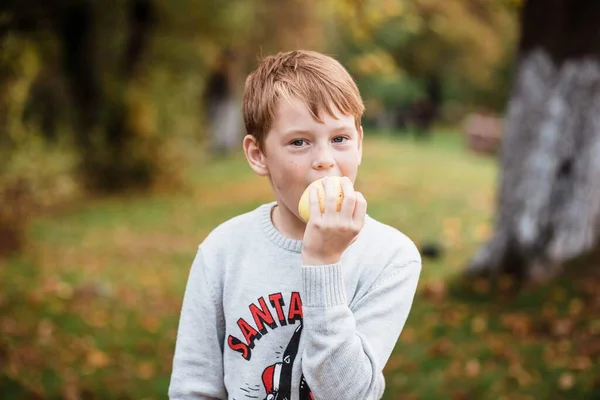 Młody Chłopiec Jabłko Lesie Chłopiec Lesie Portret Chłopca — Zdjęcie stockowe