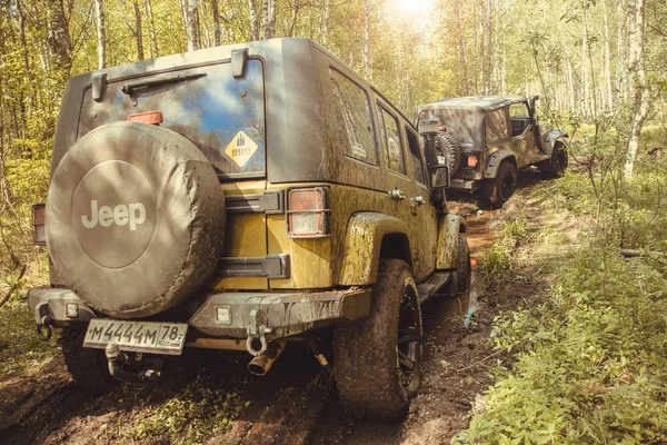 2017 Région Leningrad Russie Jeep Wrangler Avec Route Forestière Dans — Photo