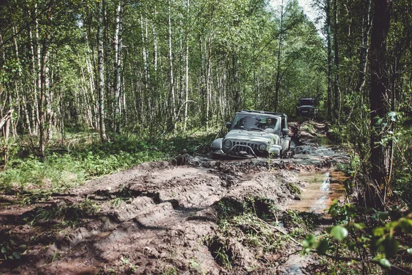 2017 Região Leningrado Rússia Jeep Wrangler Com Estrada Florestal Região — Fotografia de Stock