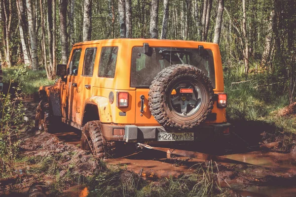 2017 Région Leningrad Russie Jeep Wrangler Avec Route Forestière Dans — Photo