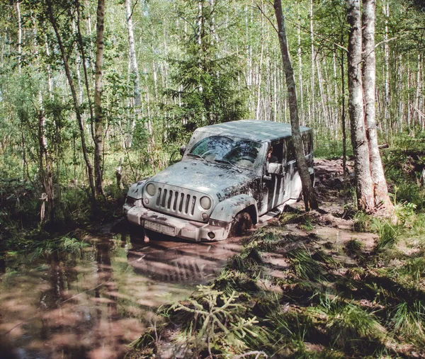 2017 Leningrad Region Rusko Jeep Wrangler Lesní Cesta Leningradské Oblasti — Stock fotografie