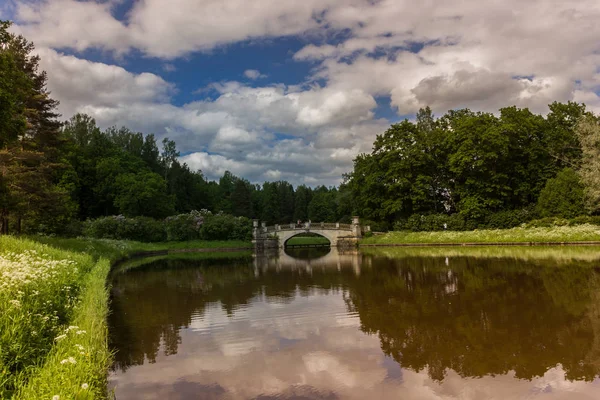 Літній День Парку Санкт Петербург Росія — стокове фото