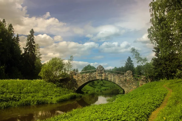 Літній День Парку Санкт Петербург Росія — стокове фото