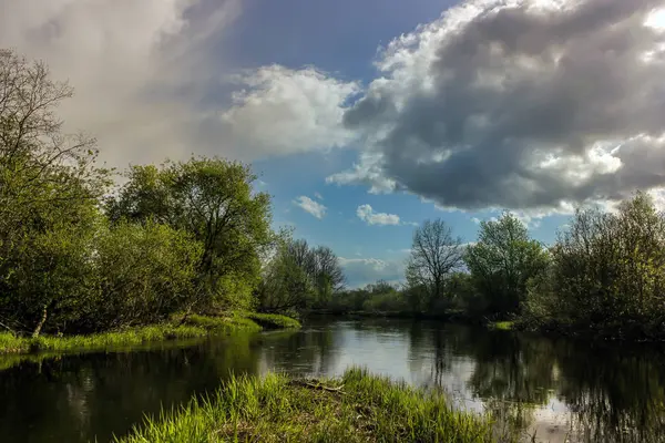 Spring Landscape Forest River Russia — Stock Photo, Image