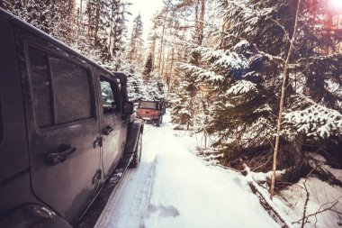Leningrad region, Rusya Federasyonu - Mart 01, 2017 Jeep Wrangler Wrangler kış ormandaki Chrysler tarafından üretilen bir kompakt Suv