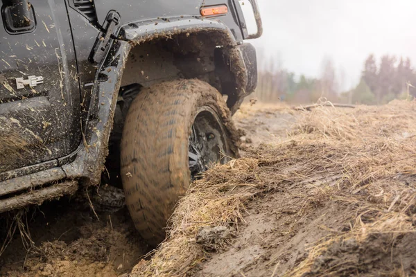 Leningrad Region Řeka Tosno Rusko Března 2017 Road Trip Hummer — Stock fotografie