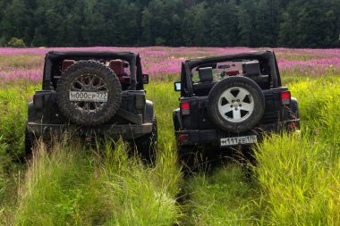 Jeep Wrangler Leningrad bölgesinde orman yolu ile