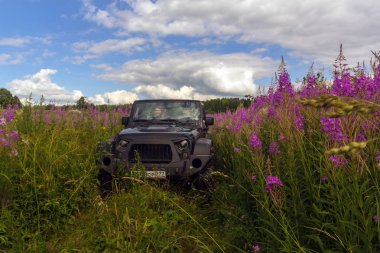 Jeep Wrangler Leningrad bölgesinde orman yolu ile