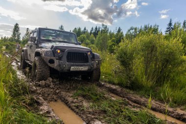 Jeep Wrangler Leningrad bölgesinde orman yolu ile