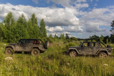 Jeep Wrangler Leningrad bölgesinde orman yolu ile