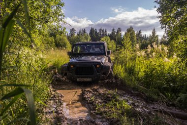 Jeep Wrangler Leningrad bölgesinde orman yolu ile