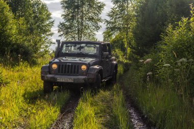 Jeep Wrangler Leningrad bölgesinde orman yolu ile