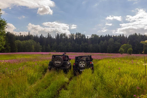 Jeep Wrangler Leningrad bölgesinde orman yolu ile — Stok fotoğraf