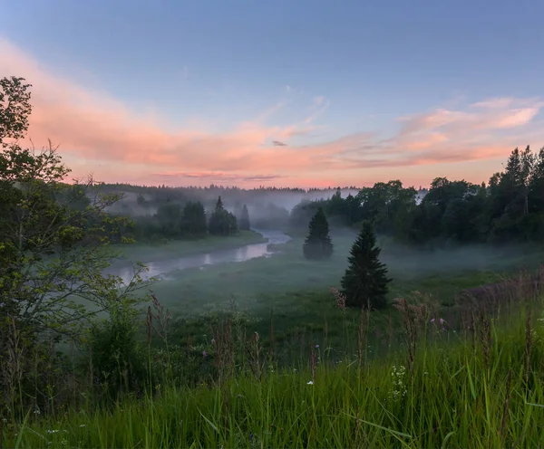 Mlhavé ráno na lesní řeky — Stock fotografie