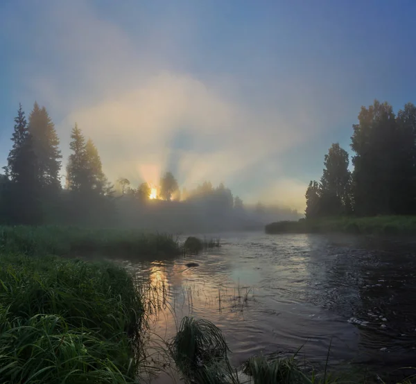 Mistige ochtend op een bos-rivier — Stockfoto