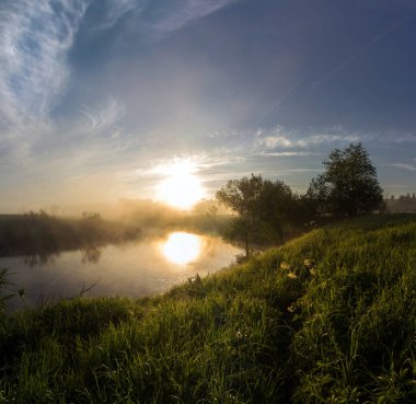 Nehir kıyısındaki yalnız ağaç