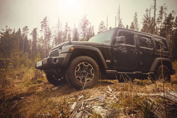 Jeep Wrangler avec route forestière — Photo