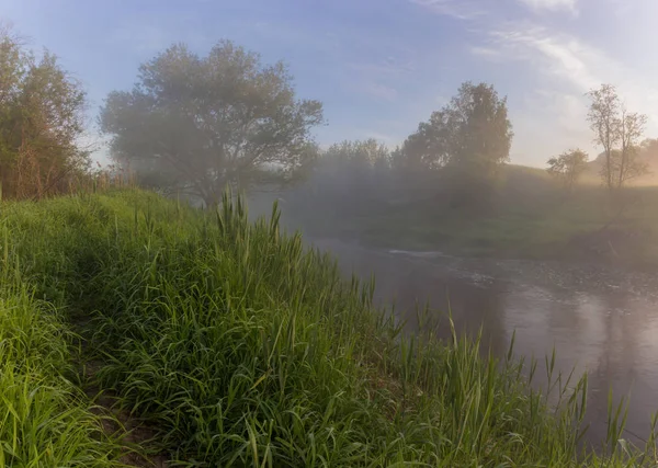 Foggy morning on the river — Stock Photo, Image