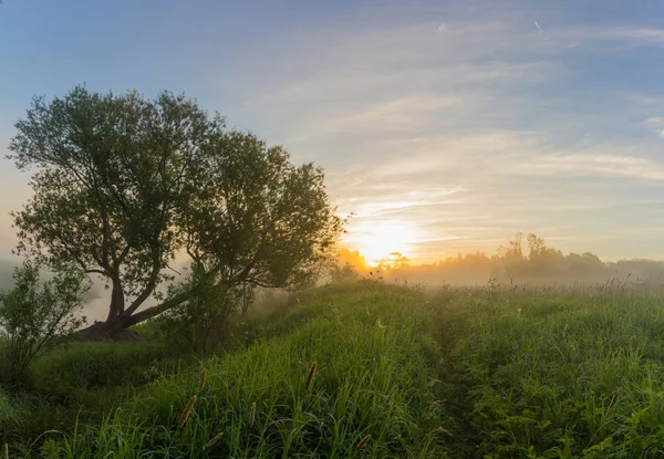 Mglisty poranek nad rzeką — Zdjęcie stockowe