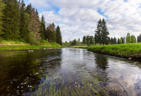 Mlhavé ráno na řece — Stock fotografie