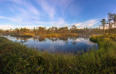 Bataklıkta gündoğumu
