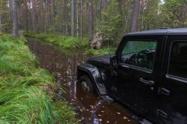 Jeep Wrangler orman yolu ile
