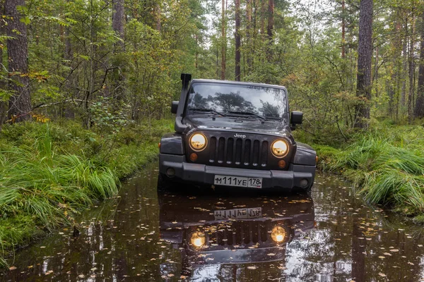 Jeep Wrangler con strada forestale — Foto Stock