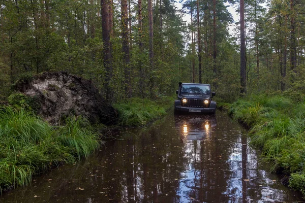Jeep Wrangler med skogsväg — Stockfoto