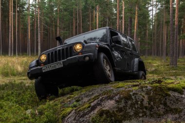 Jeep Wrangler orman yolu ile