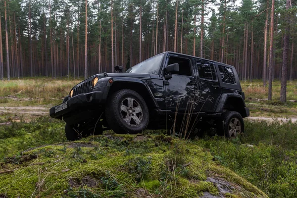 Jeep Wrangler mit Forststraße — Stockfoto