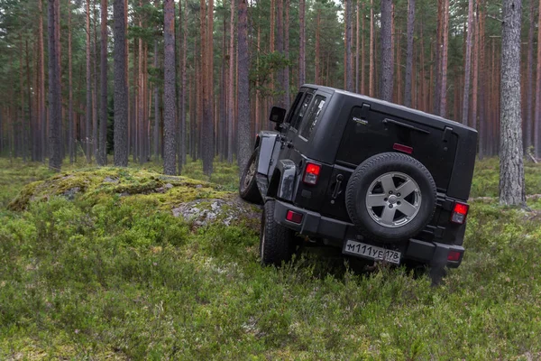 รถจี๊ป Wrangler กับถนนป่า — ภาพถ่ายสต็อก