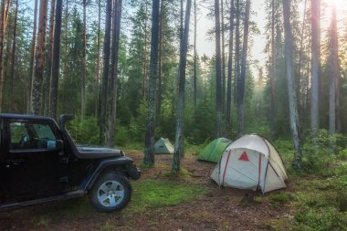 Ormanda kamp yapmak.