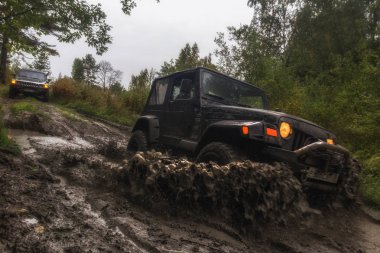 Jeep Wrangler orman yolu ile