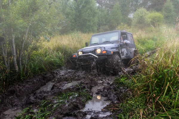 Jeep Wrangler met bos weg — Stockfoto