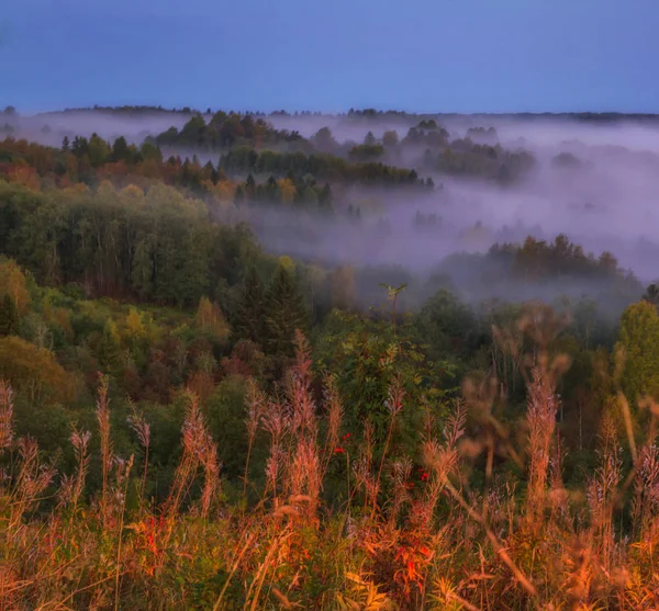 Mlha nad údolím řeky — Stock fotografie