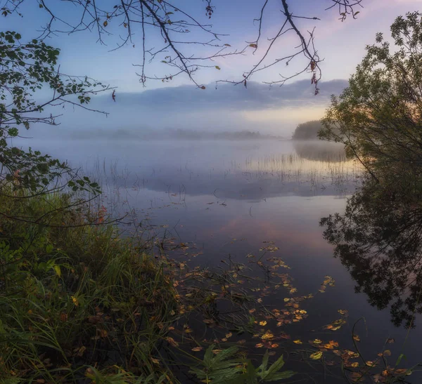 sisli sabahı sessiz: göl