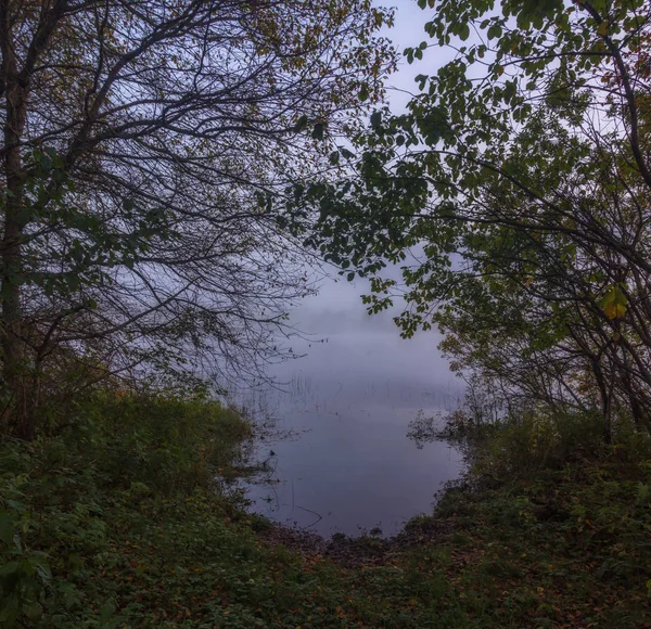 Rustige mistige ochtend op het meer — Stockfoto