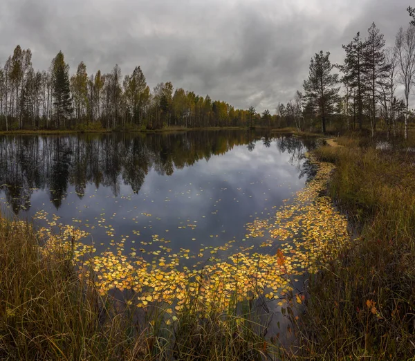 Tardo autunno nel lago foresta — Foto Stock