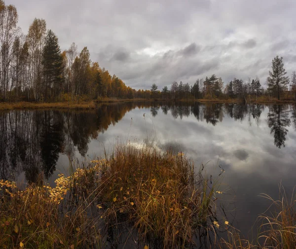 Tardo autunno nel lago foresta — Foto Stock