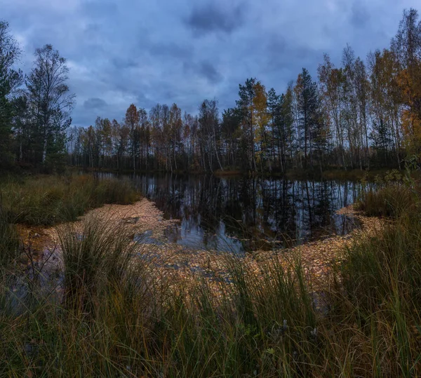 Spätherbst im Waldsee — Stockfoto