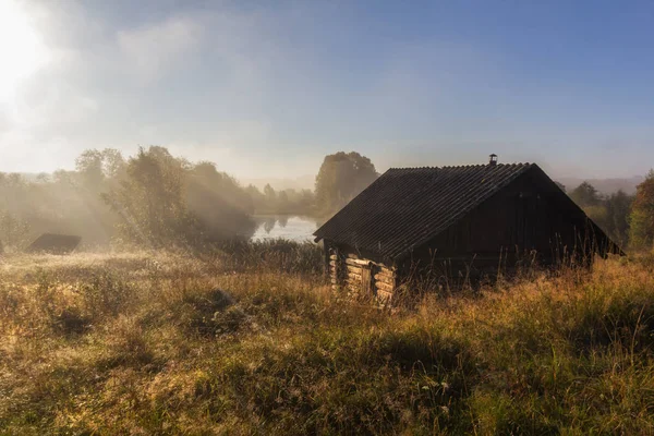banyo lake forest shore. Vepsian orman. Leningrad oblast. Rusya