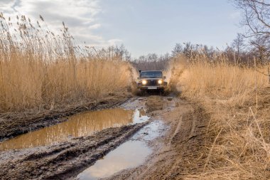 Finlandiya Körfezi. Leningrad bölge. Rusya. 15 Nisan 2018: Jeep Wrangler Finlandiya Körfezi off-road rides