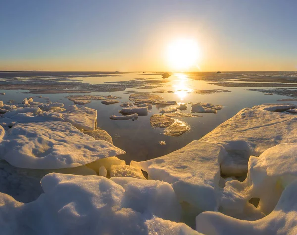 Sunset Gulf Finland Leningrad Region Russia — Stock Photo, Image