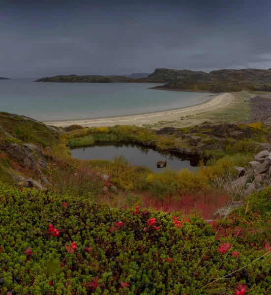 Barents Sea Teriberka Murmansk Region Russia — Stock Photo, Image