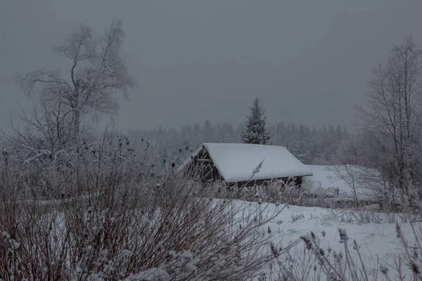 Invierno Pueblo Karelian Rusia — Foto de Stock