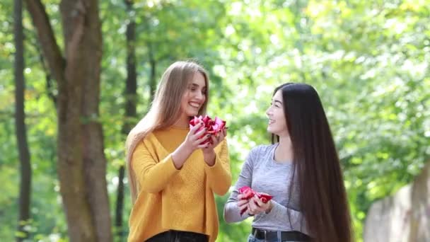 Zwei glückliche Freundinnen mit langen Haaren werfen rote Rosenblätter in die Höhe — Stockvideo
