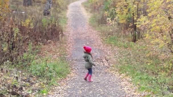 Hübsches Mädchen, das allein im herbstlichen Wald spaziert — Stockvideo